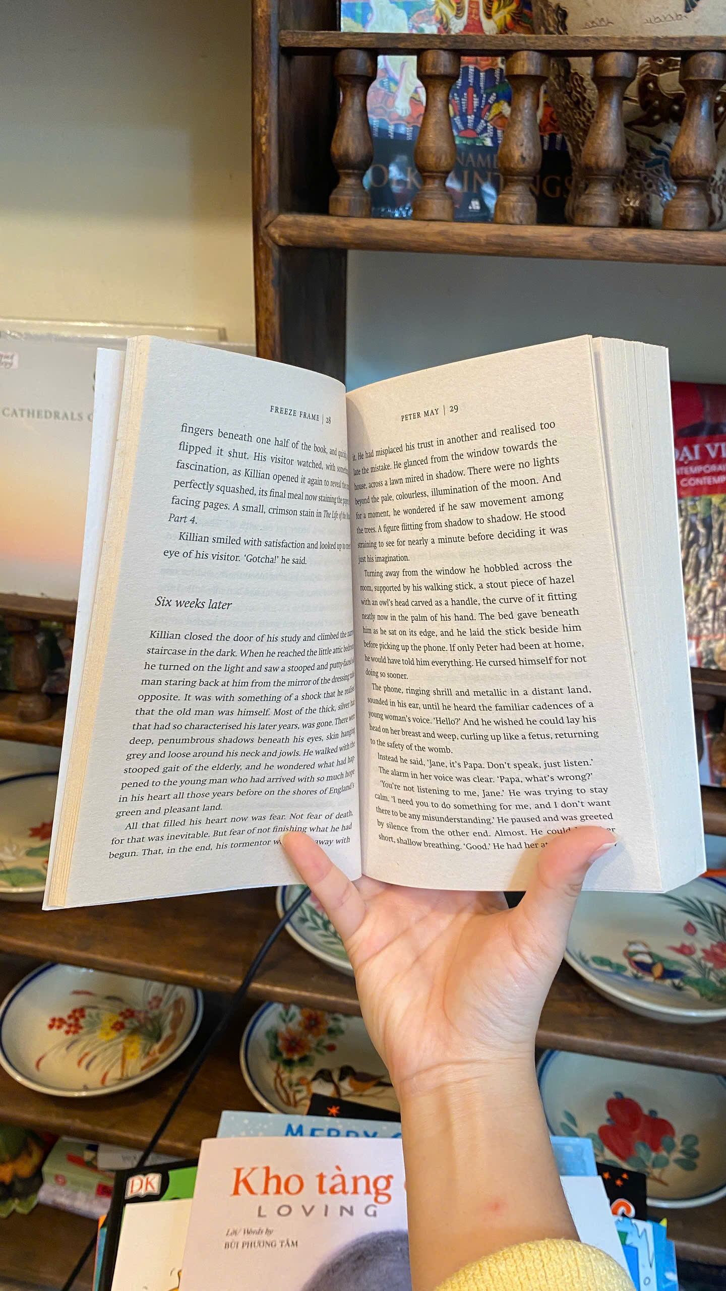 Sách - Freeze Frame (The Enzo Files) by Peter May | English Mystery Thriller - Sách ngoại văn