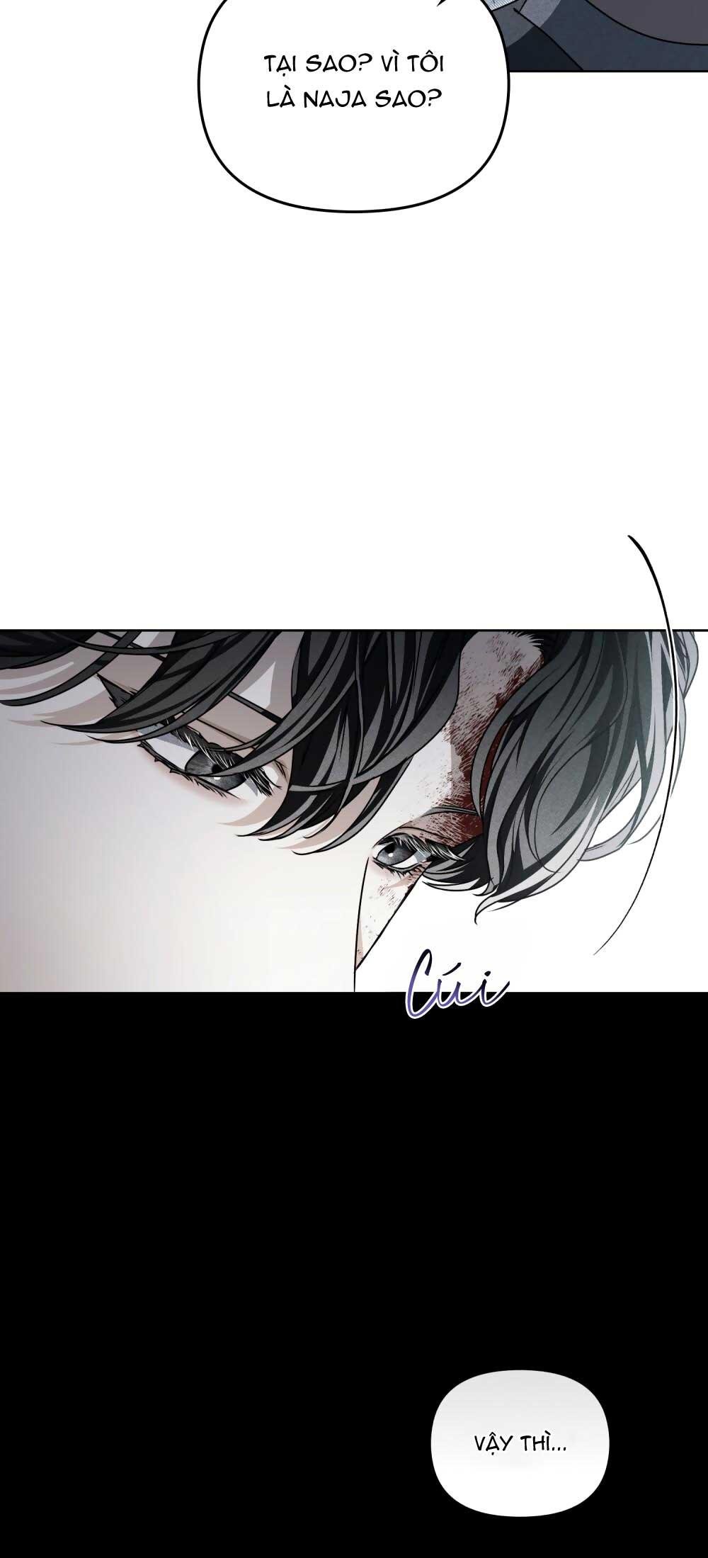 (cbunu) lửa hồn chapter 29 45