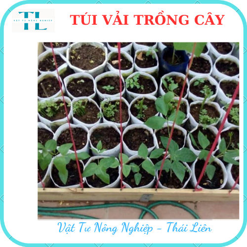 Túi vải trồng cây 2 quai, túi vải ươm dưỡng kích thước 40x40 siêu rẻ, siêu bền, tiện lợi, dễ sử dụng