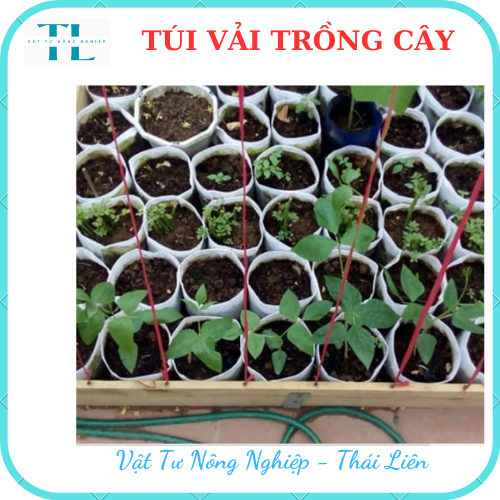 [Siêu dày]Túi vải trồng cây 2 quai, túi vải ươm dưỡng  kích thước 40x40 siêu rẻ, siêu bền, tiện lợi, dễ sử dụng