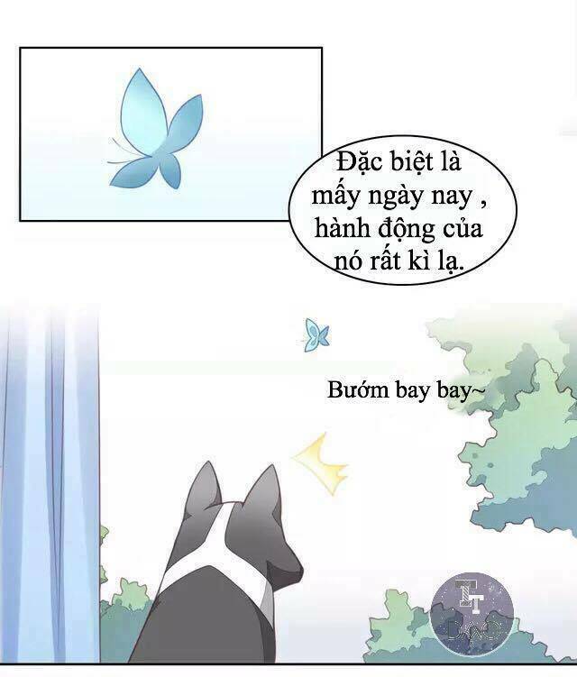 thị hoang chi thần chapter 16 6