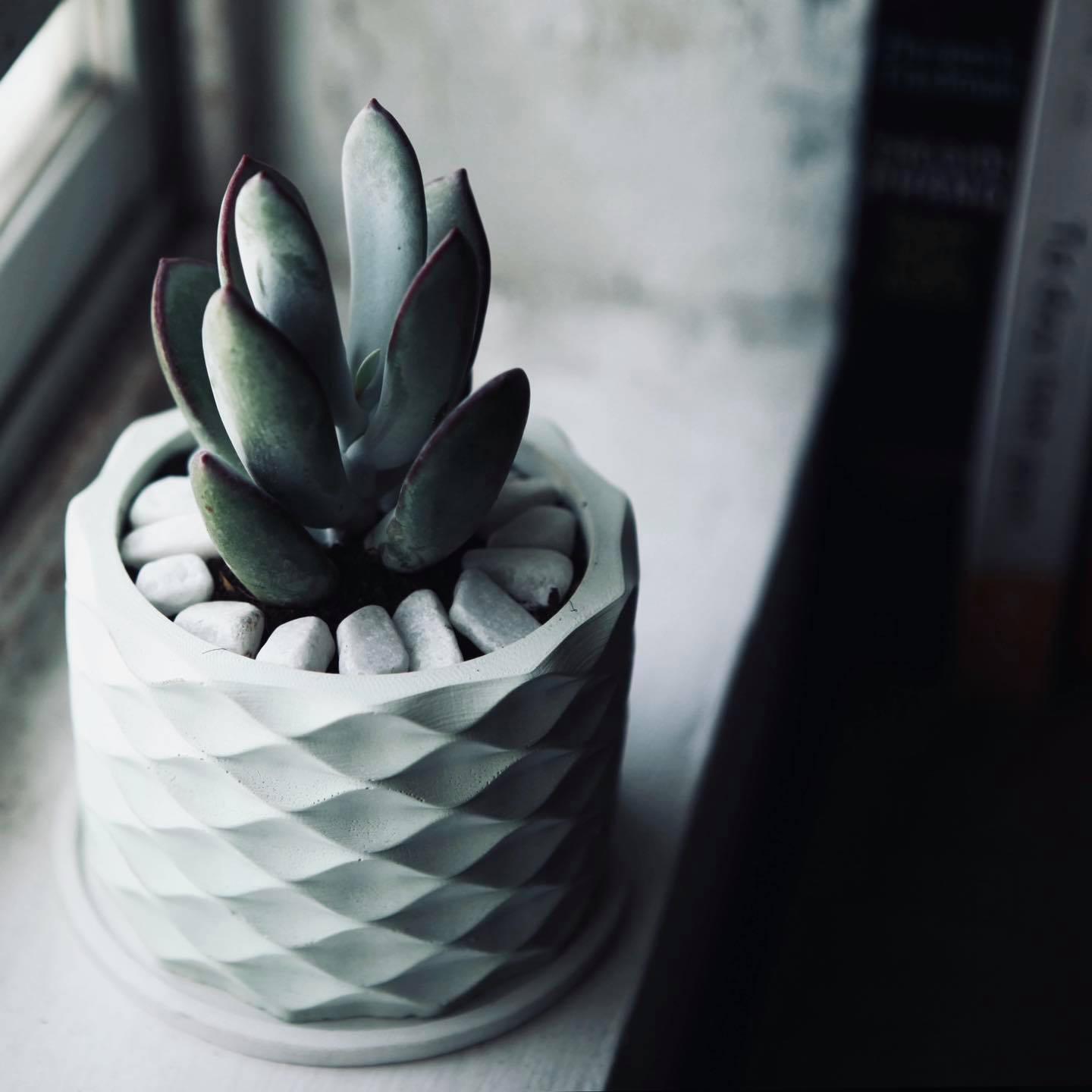 Combo 4 Chậu trồng sen đá , xương rồng, bonsai cây cảnh bằng xi măng, chính hãng Cori , chậu 3D Origami hình trụ tròn kích thước 15x11cm - Cement pots GiaThanh Decor