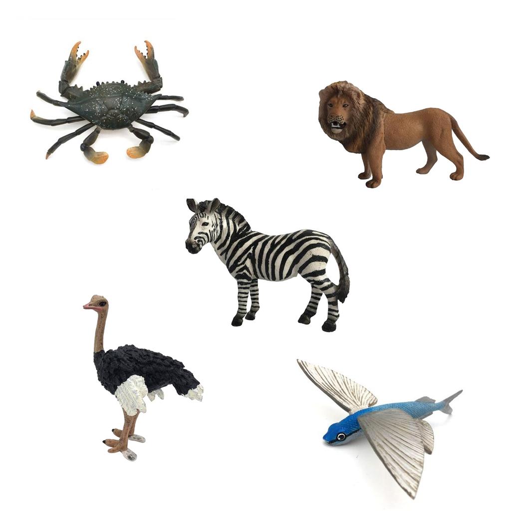 Nature Wild Lion Ostrich Zebra Crab  Flying Fish Cute Animal Model Figurine Action Figures Kids Playset Toy