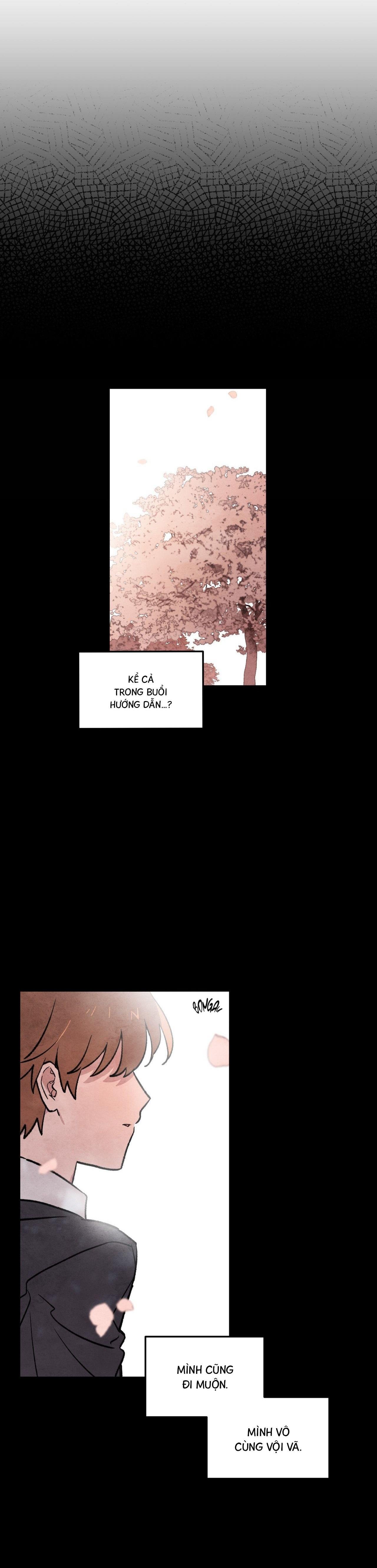 chúc may mắn chapter 1 22