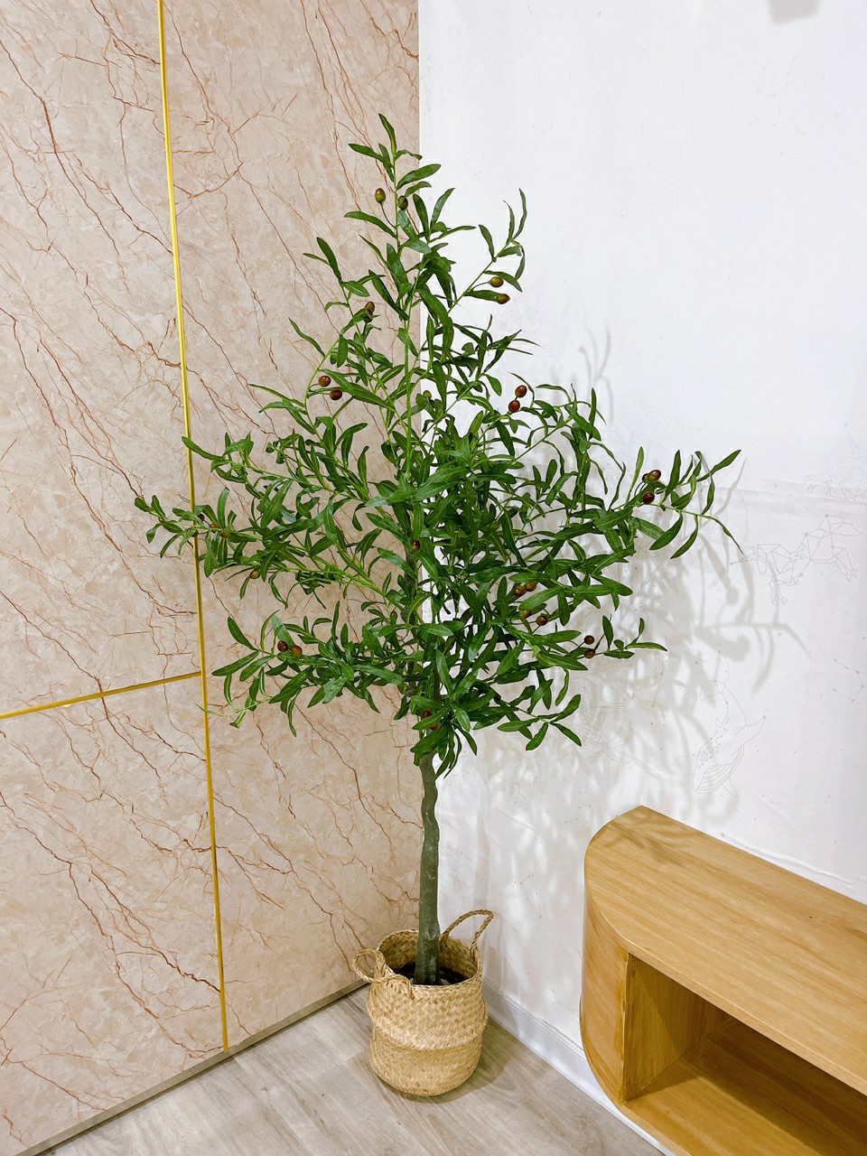 Cây ô liu giả cao 1m6 tặng kèm chậu cói