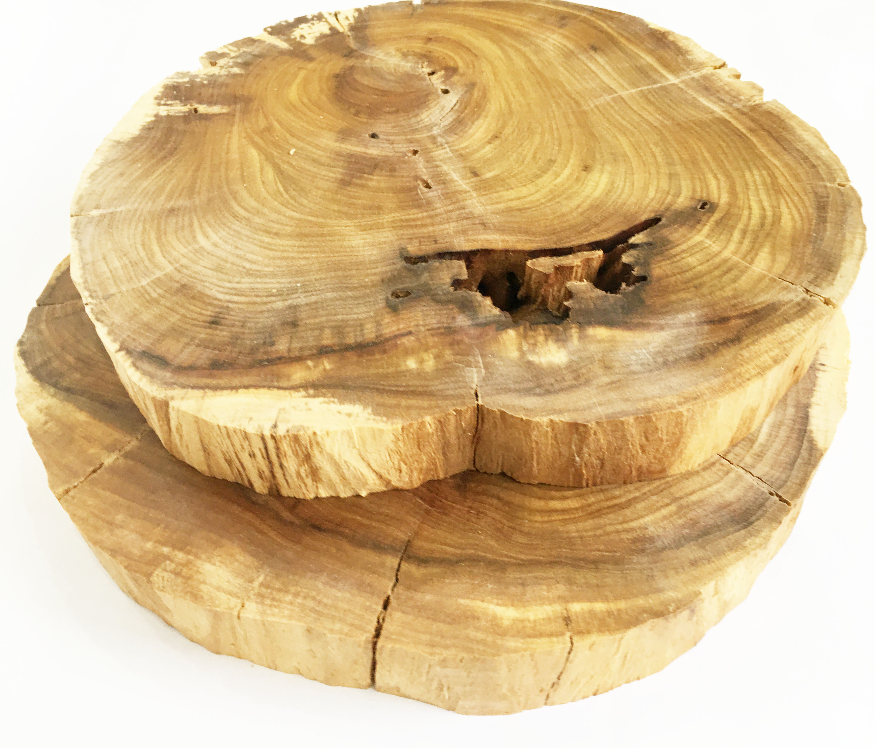 Khoanh gỗ lũa dùng trang trí, decor vintage, chụp ảnh KT 18-25cm