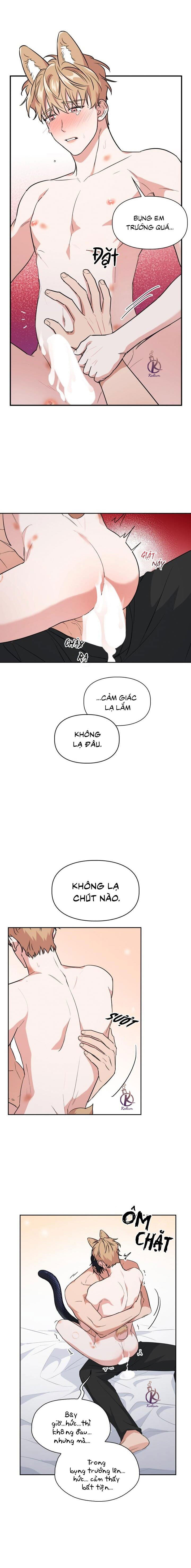 mồi nhử chapter 64 8