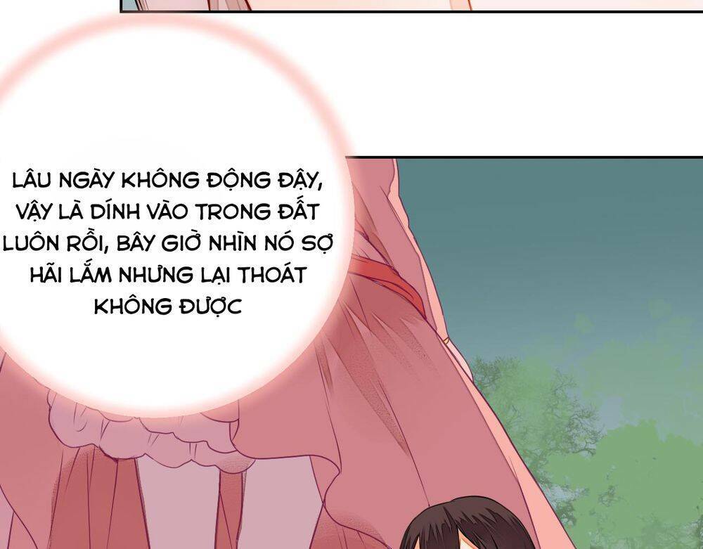 đốt đào hoa chapter 8 22