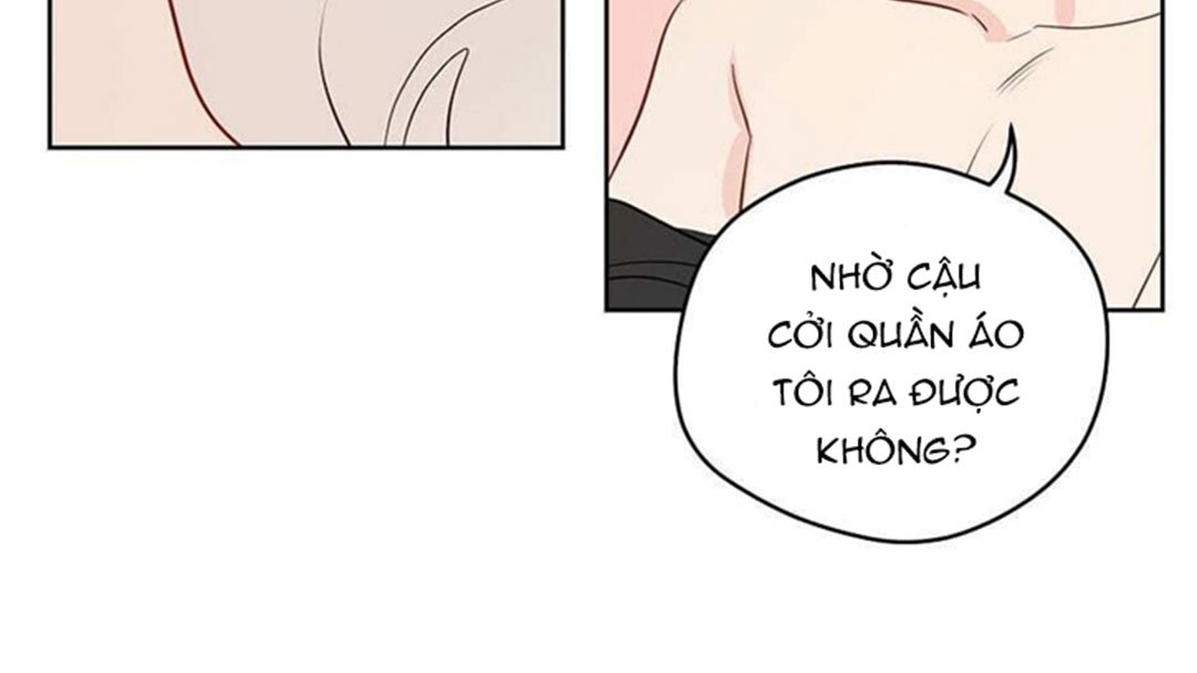 chuyện quái gì với giấc mơ đó vậy chapter 28 62