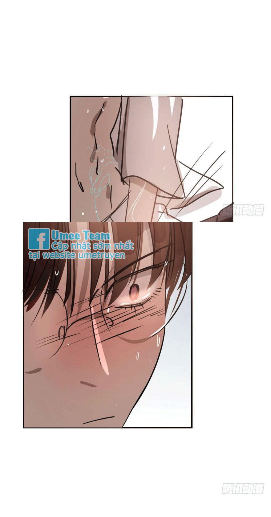 bắt lấy ngao ngao chapter 41 37