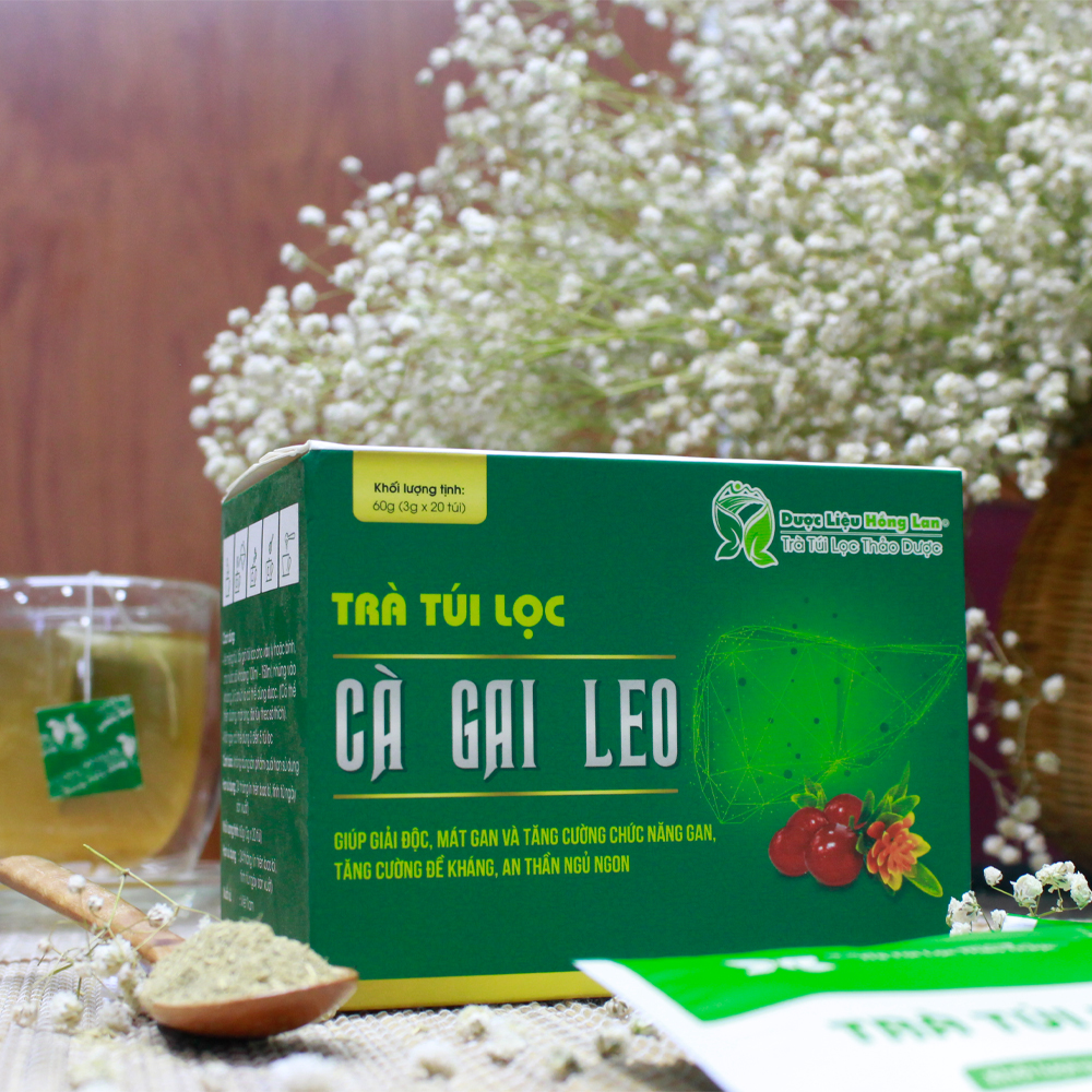 Trà Túi Lọc Cà Gai Leo 60g Dược Liệu Hồng Lan