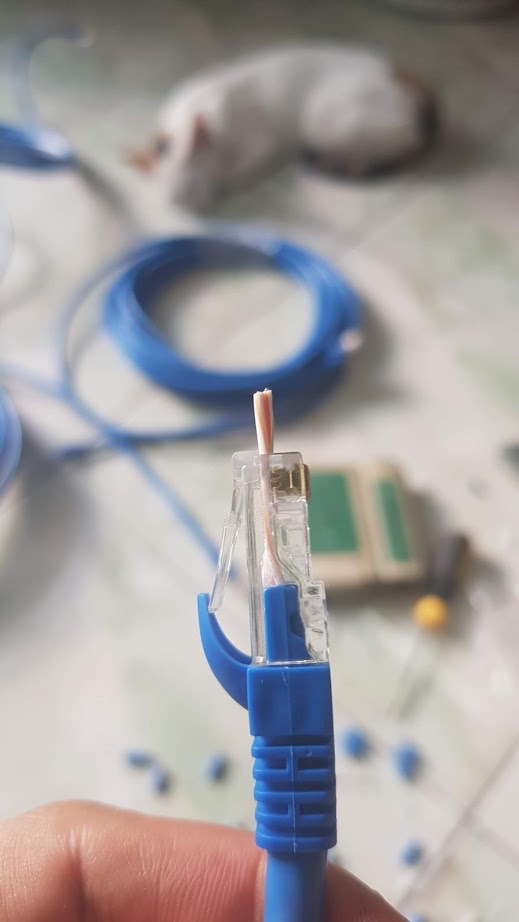 Hạt mạng RJ45 xuyên thấu đúng chuẩn Cat6 bấm được cho các loại dây Cat6 loại, 100 đầu/hộp