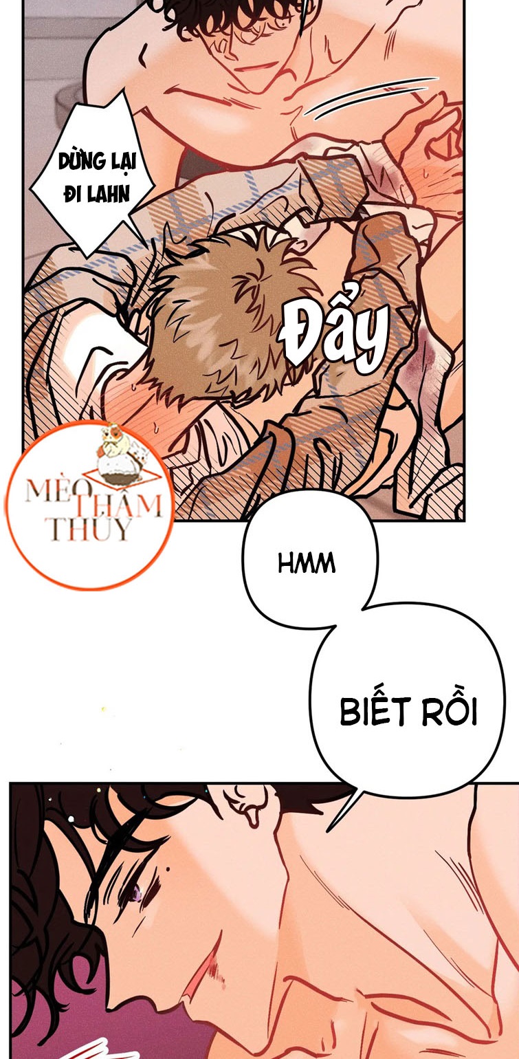 punk dunk funk chapter 39 24