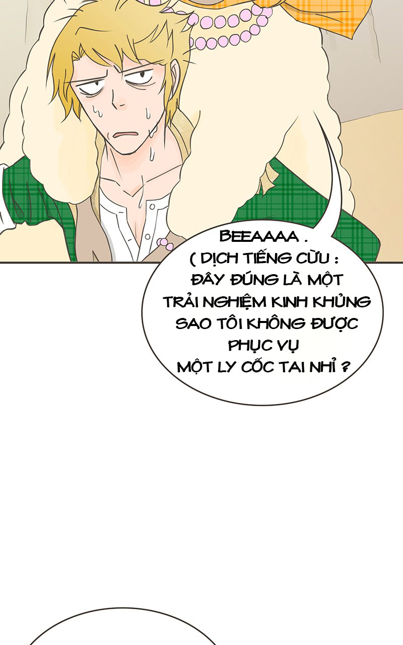 những nàng công chúa bị nguyền rủa chapter 23 14