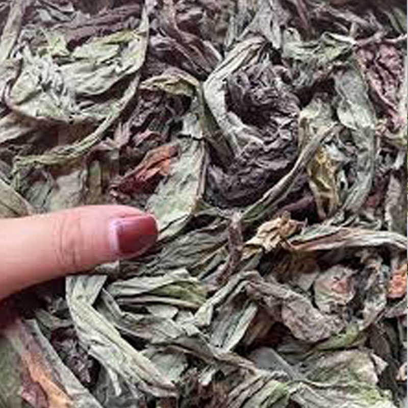 cây lá bồ công anh phơi khô túi 1kg