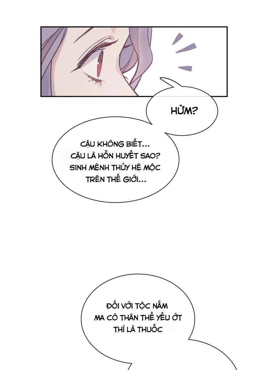 nhật ký nấm ma cô chapter 3 24