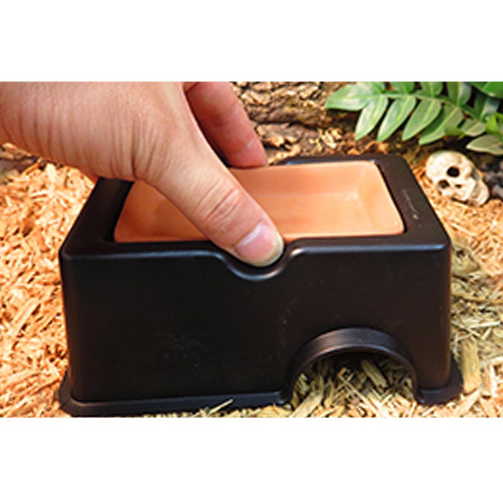 Reptile Humidify Cave Terrarium House for Snake Spider