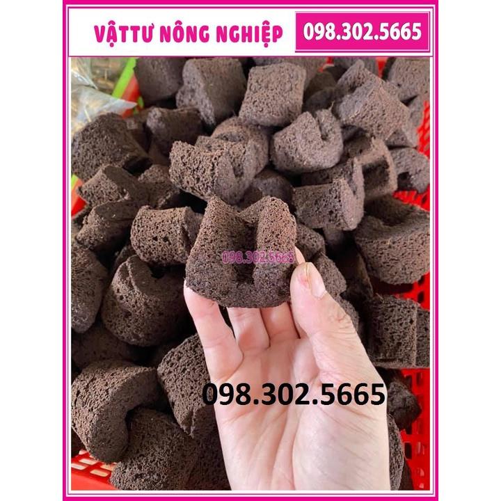 Set 50 Viên mút xốp ươm kie hữu cơ dành cho hoa lan Peatmoss Hà Lan chính hãng
