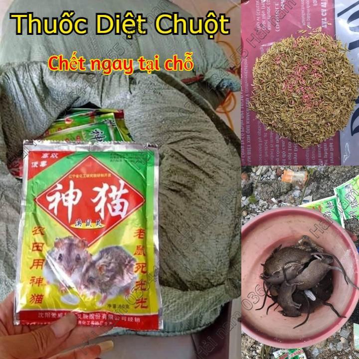 Thuốc diệt chuột trộn sẵn - Thuốc chuột ăn chết ngay tại chỗ - Hiệu quả 100 % khi sử dụng