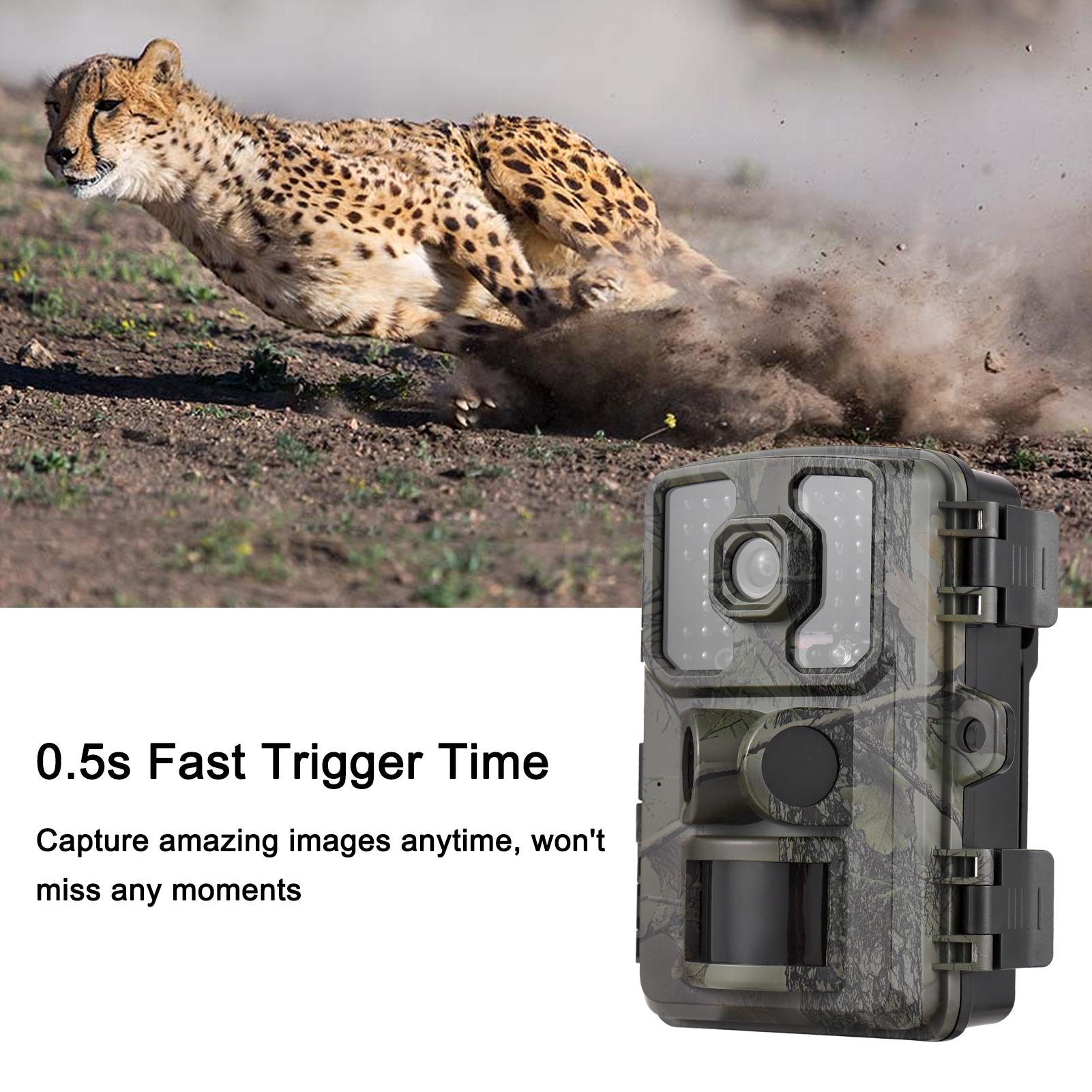 4K Trail Camera 16MP Wildlife Scouting Camera Tracking Camera with 2.0 Inch TFT Color Screen PIR Sensors 0.5s Trigger Time Supports Infrared Night Vision Motion Activated IP66 Waterproof