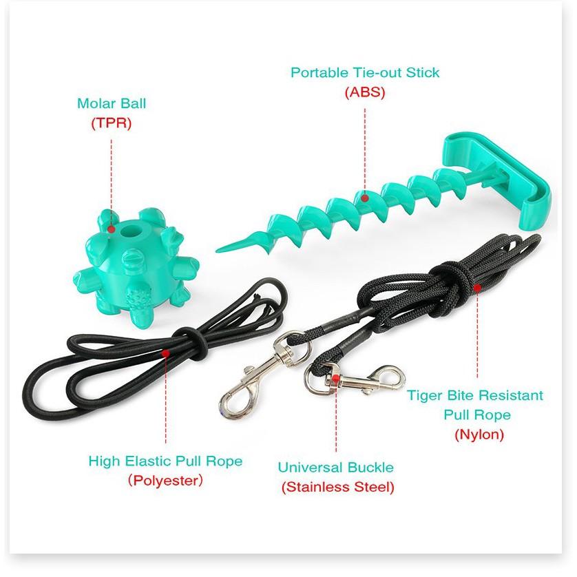 Cộc cằn bóng chơi cho chó nhai làm sạch răng Pin Dog Leash