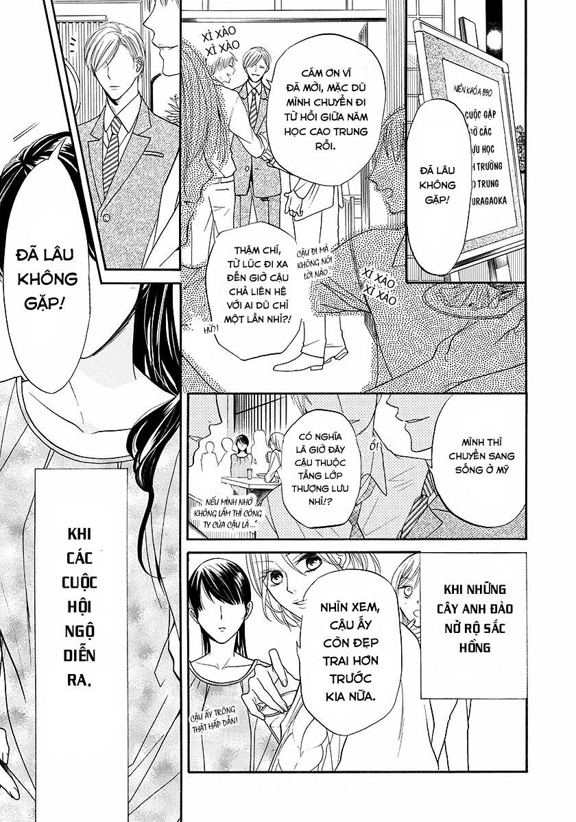 dưới bóng cây anh đào chapter 1 1