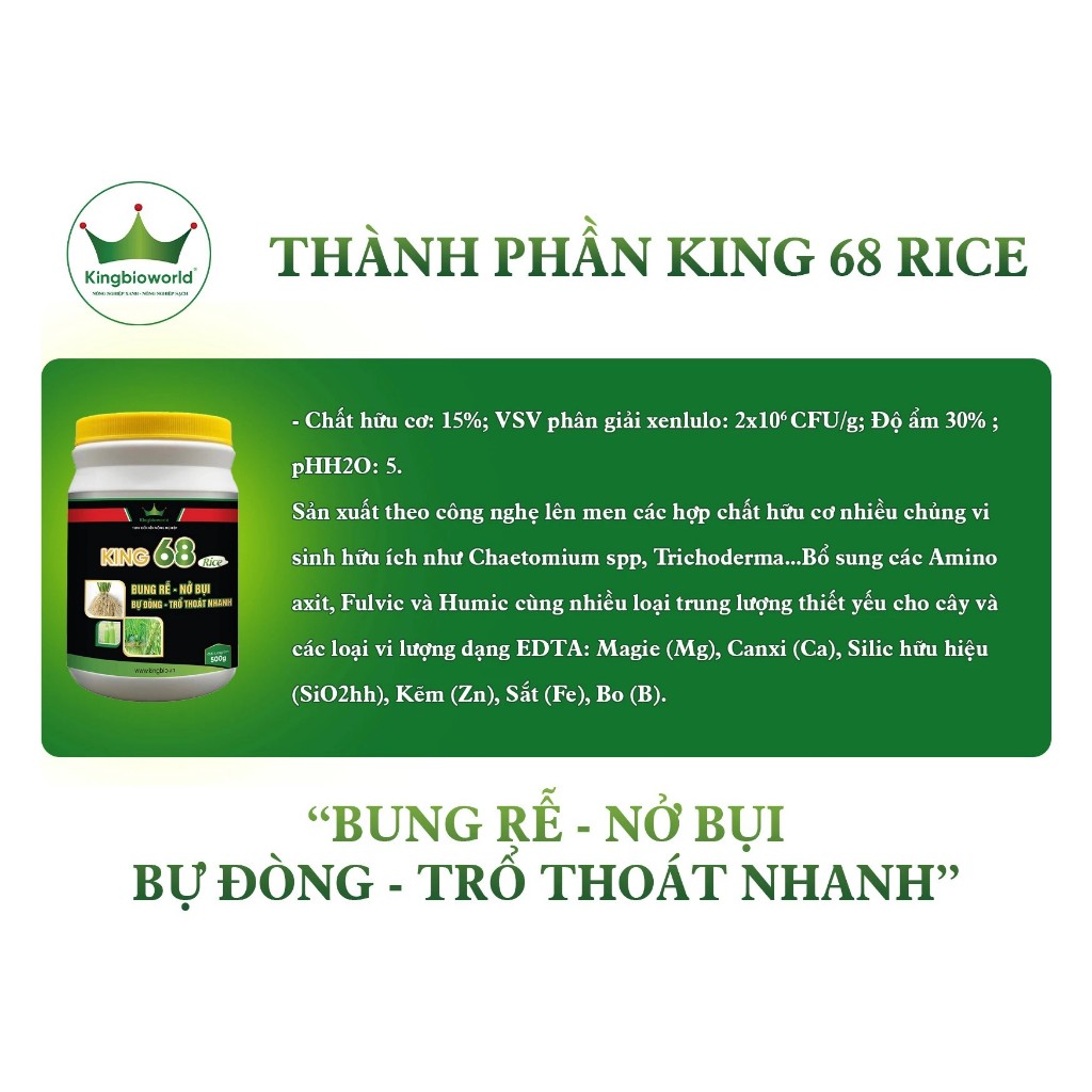 King 68 rice - Thuốc kích rễ, nở bụi to, đẻ nhánh nhanh, kích to đòng, bự đòng trổ thoát nhanh