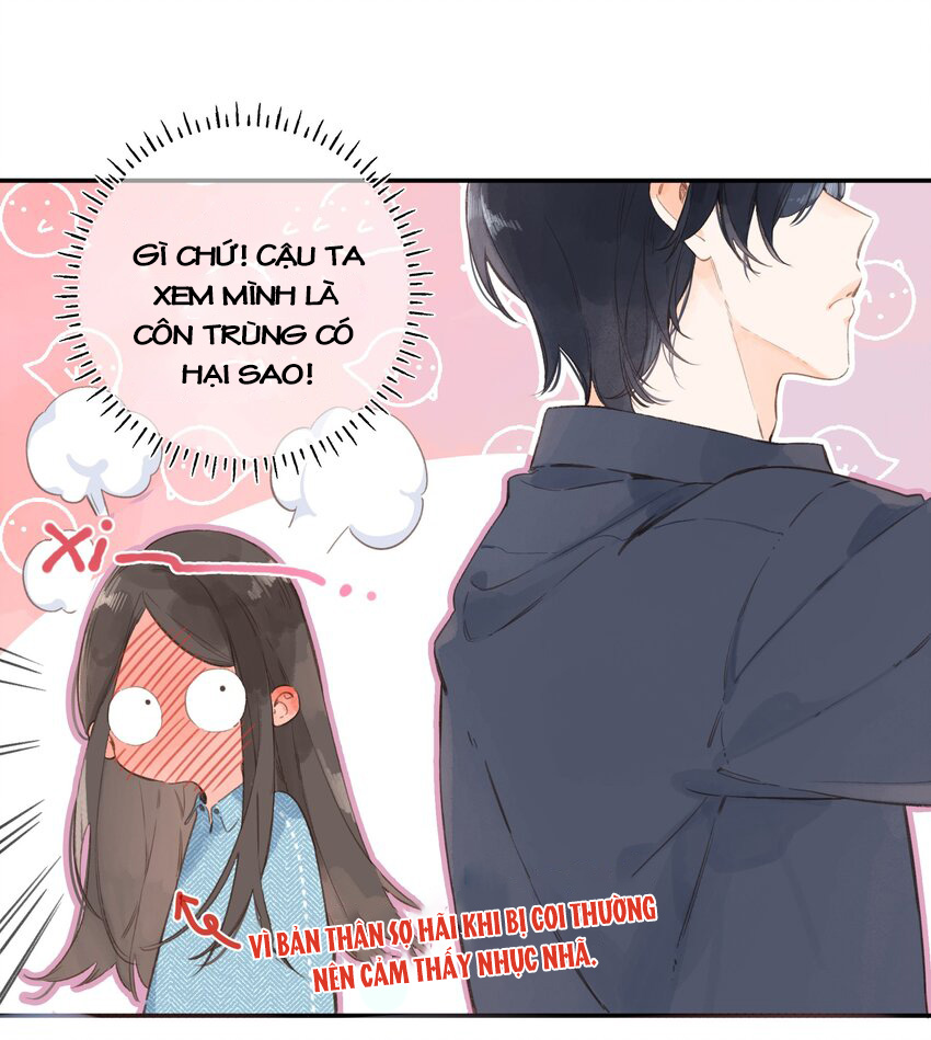 tiệm hoa hướng dương ở góc phố chapter 3 11