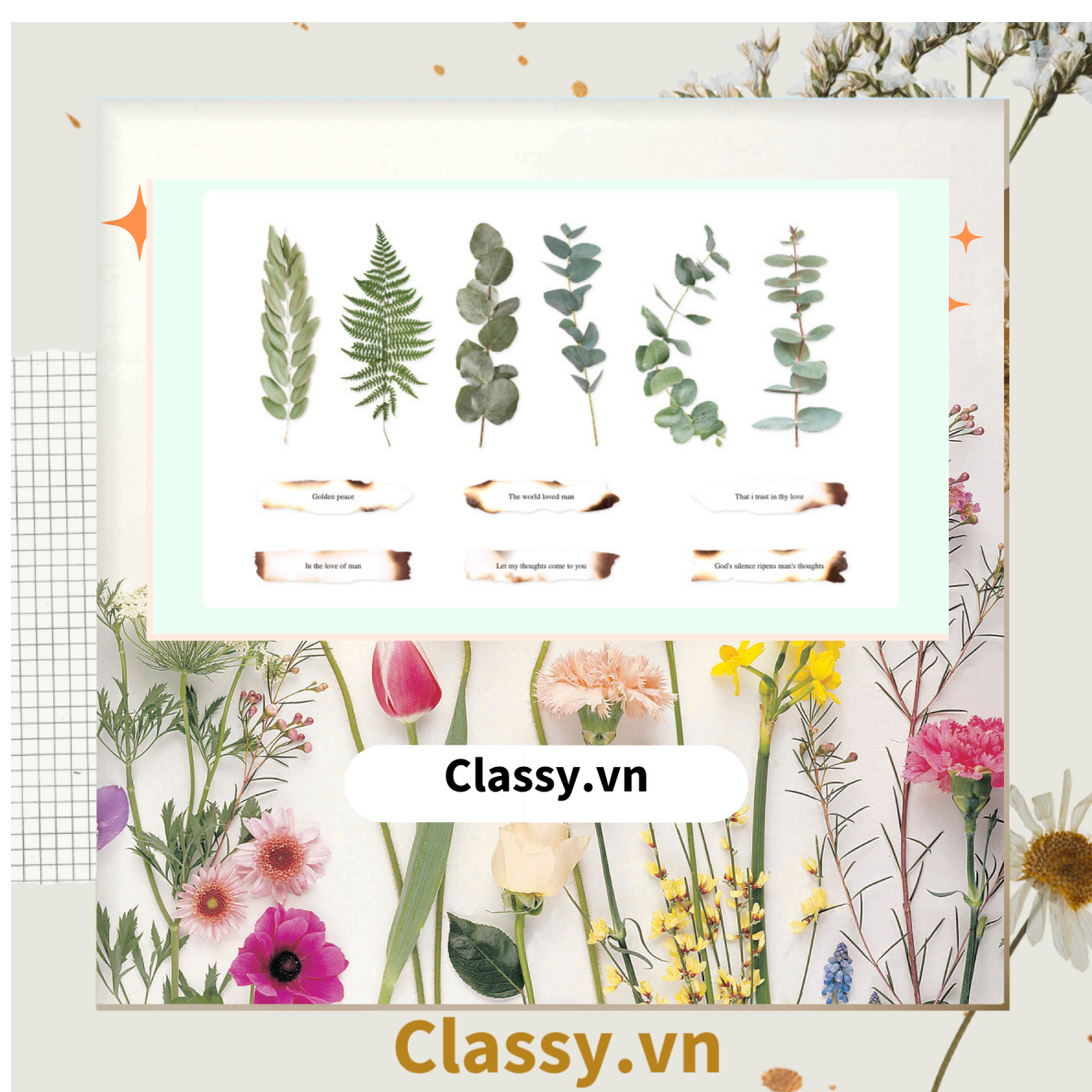 08 miếng Sticker Vintage hình hoa nhỉ thanh lịch PK1710