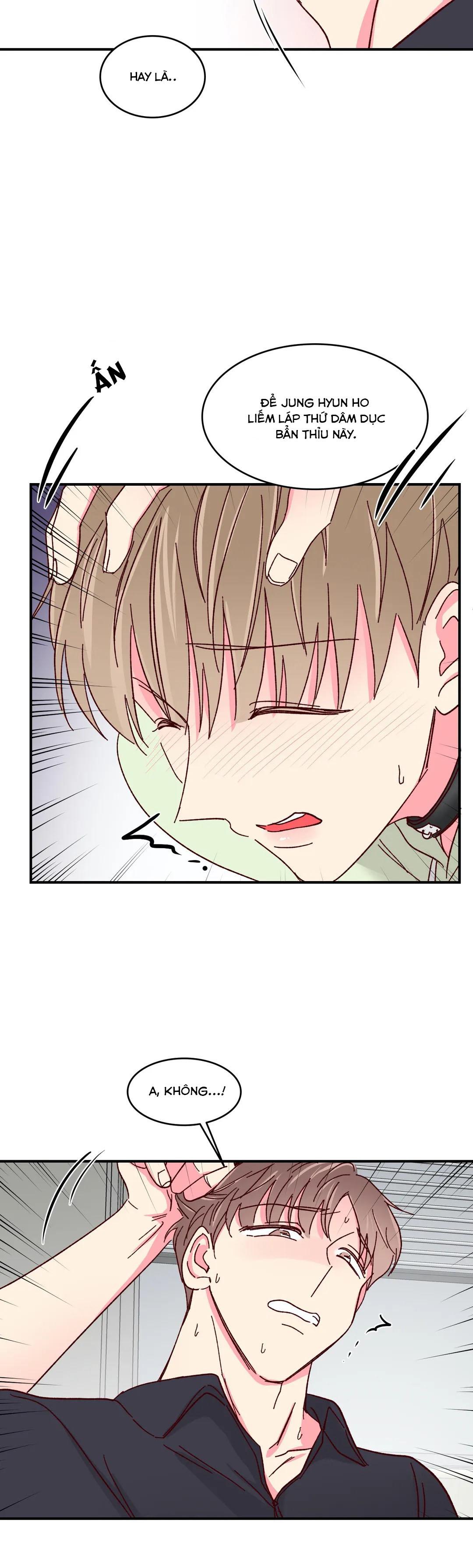 món tráng miệng của sếp tổng chapter 56 26