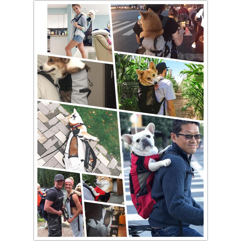 Medium Dog Carrier Backpack Pet Carrier Packsack, Breathable Hands-Free Corgi Bulldog Travel Bag for Walking Hiking Bike Motorcycle