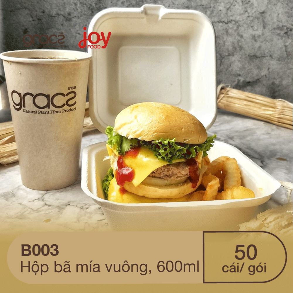 50 hộp bã mía Gracz hình vuông 17.5x17.5x50 cm