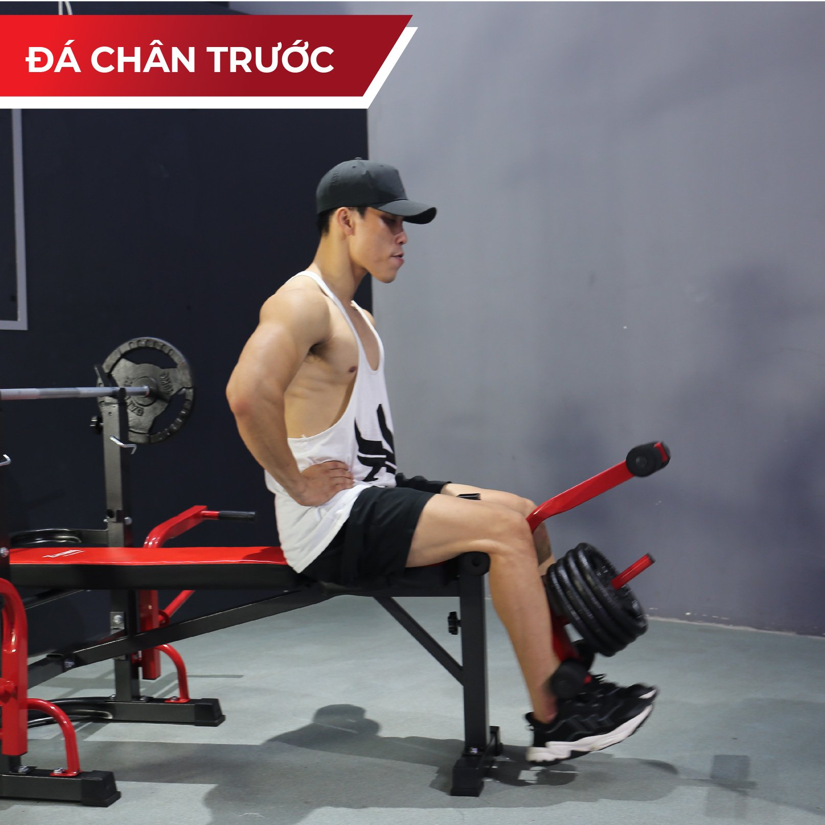 Giàn Tạ Đa Năng Zasami SGT-8210 Plus - kèm 50kg tạ gang, 1 đòn 1m5, và 1 đôi găng tay