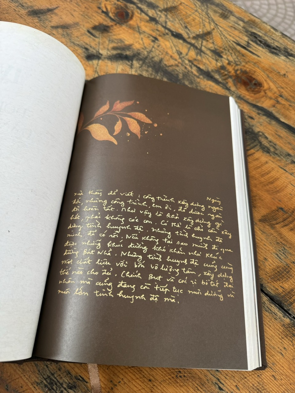 (Ấn bản đặc biệt giới hạn 124c bìa bọc vải - ảnh Sư ông được khắc laze trên gỗ Polywood, tên sách in nhũ vàng) ĐI GẶP MÙA XUÂN - HÀNH TRẠNG THIỀN SƯ THÍCH NHẤT HẠNH