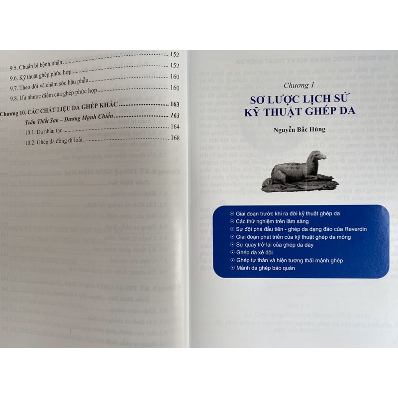 Ghép da trong phẫu thuật tạo hình thẩm mỹ