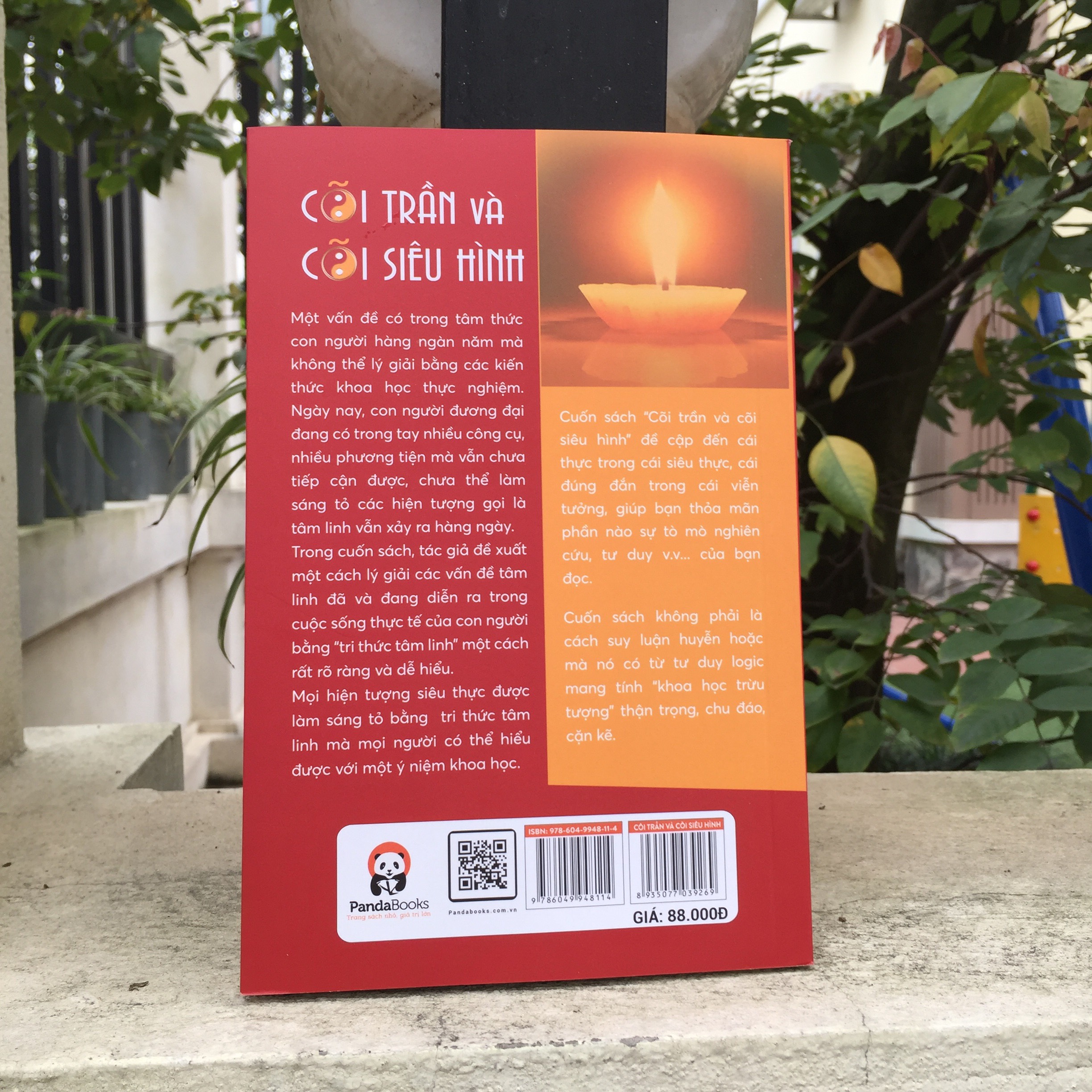Cõi Trần Và Cõi Siêu Hình (Sách Tham Khảo)