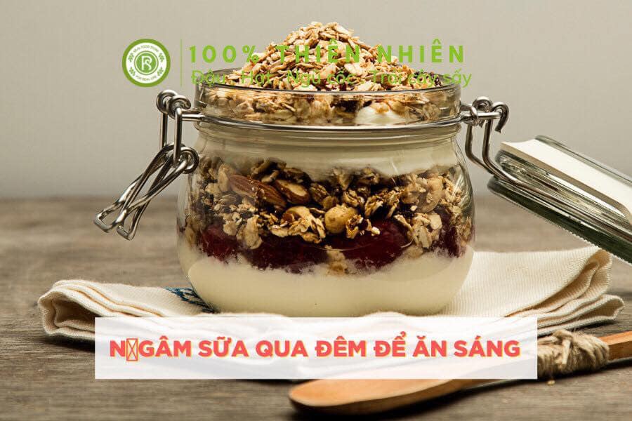 100G Yến Mạch Cán Dẹt Real Food