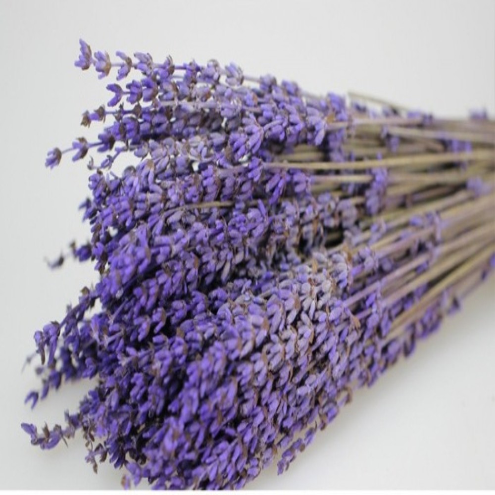 Bó Hoa Khô Lavender Tự Nhiên Nhập Khẩu Pháp - 300 Gram (330 Cành) - Mùi Thơm Từ Hoa Oải Hương Có Thể Làm Dịu Tinh Thần - Tránh Tình Trạng Mất Ngủ - Lo Lắng Quá Mức Và Shock Thần Kinh.