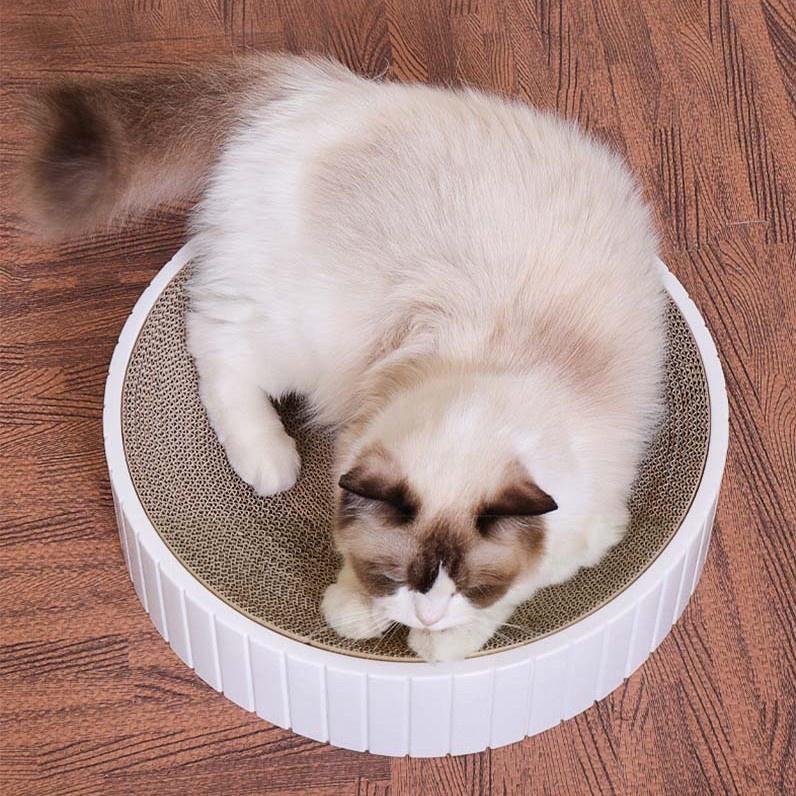Bàn cào móng cho mèo vỏ nhựa hình tròn có thể tháo và thay lõi carton 41x8cm