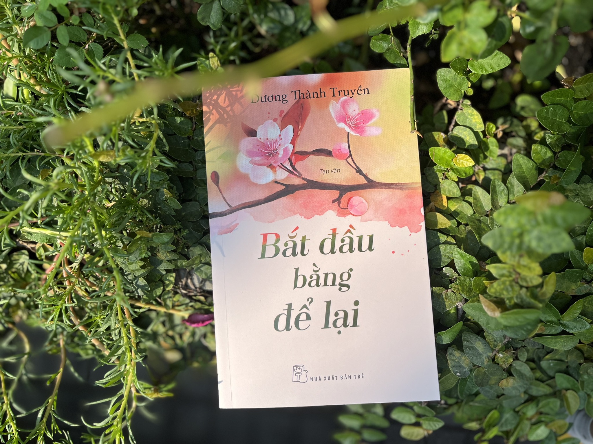 Bắt Đầu Bằng Để Lại