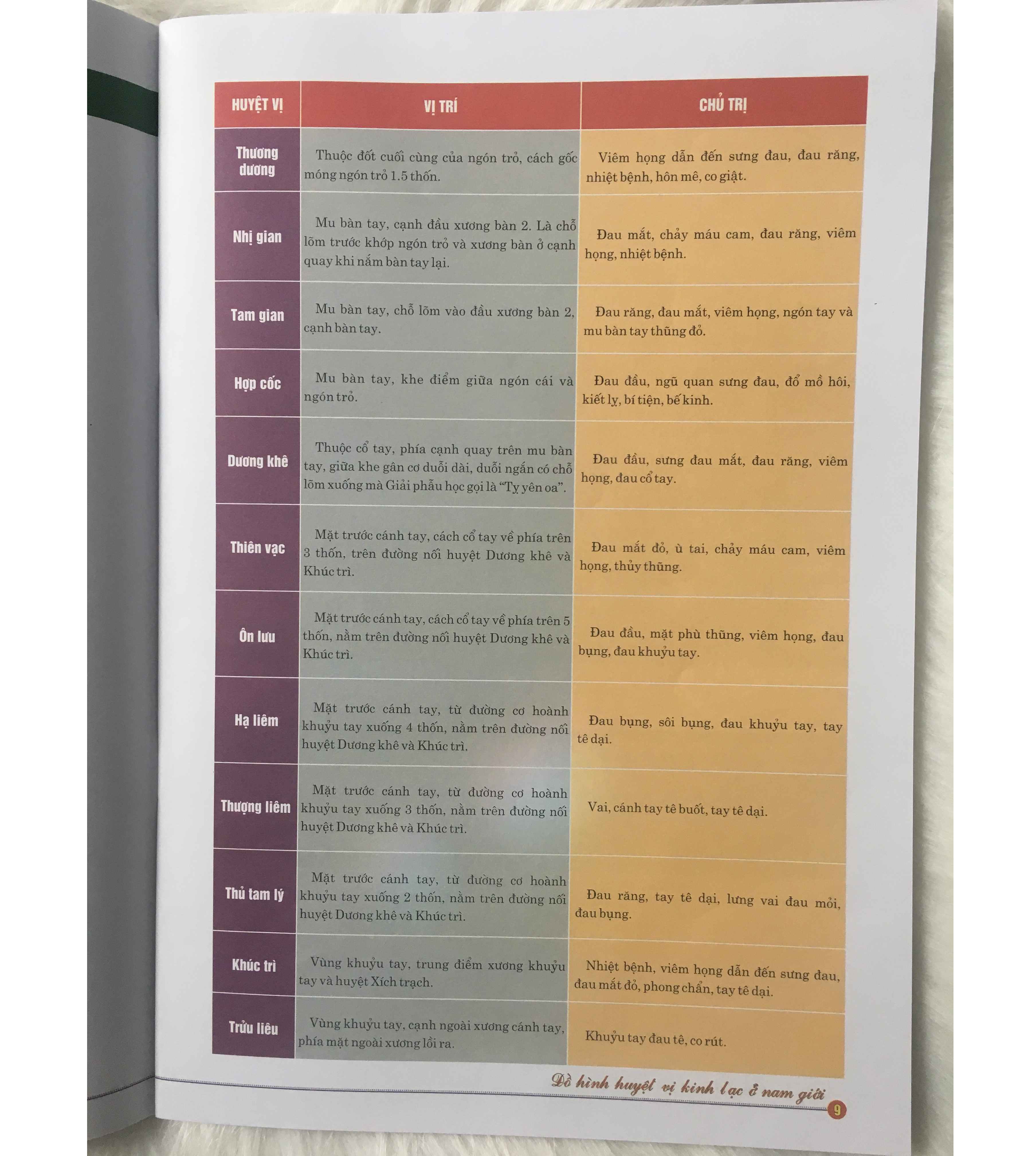 Đồ Hình Huyệt Vị Kinh Lạc Ở Nam Giới - Tặng Kèm Bookmark GIGA