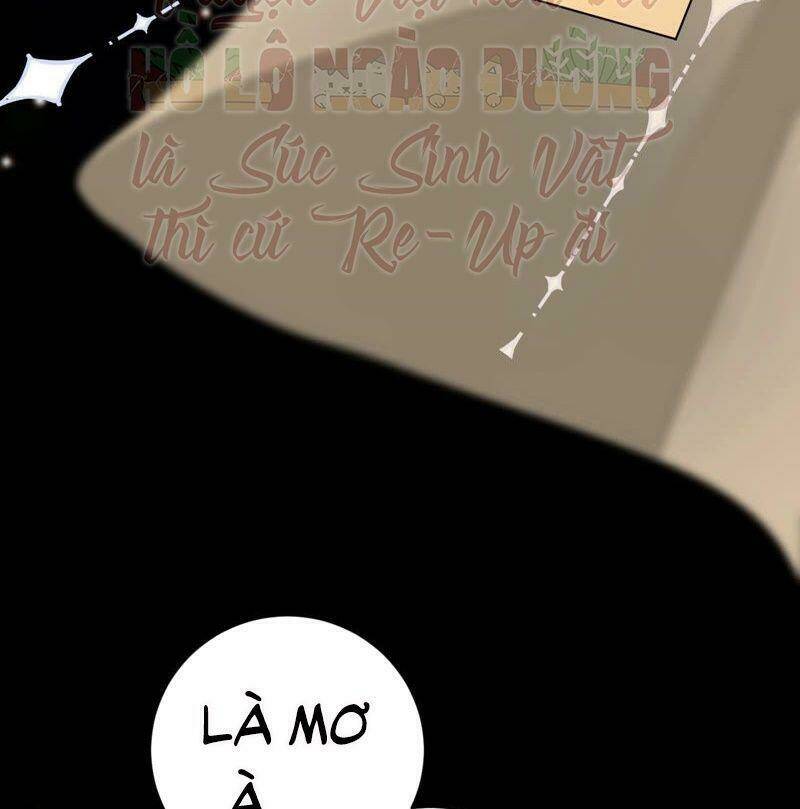 quận chúa vững vàng, thiết lập nhân vật không thể vỡ chapter 36 11