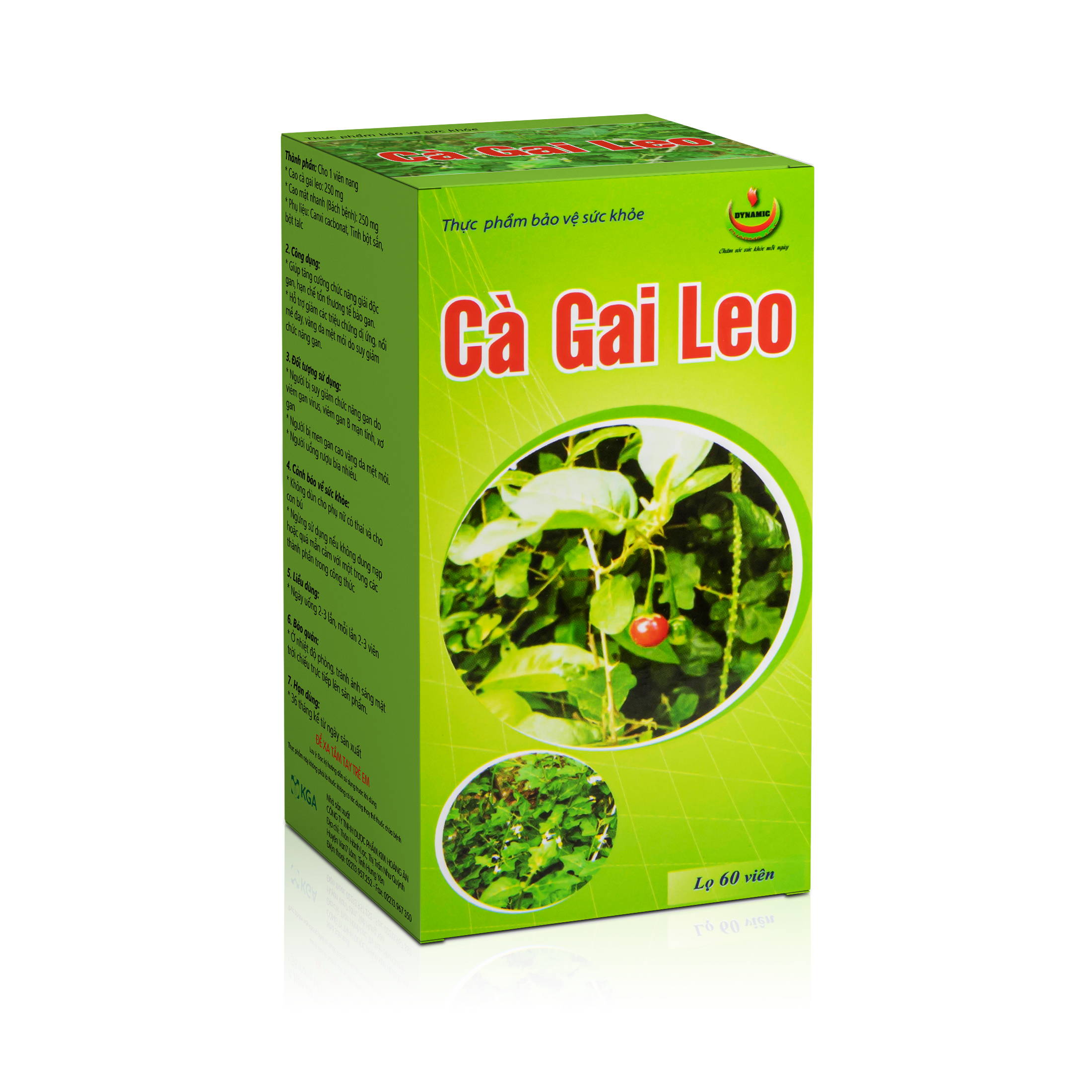 Cà gai leo - Năng Động - giải độc gan, giảm mề day, vàng da