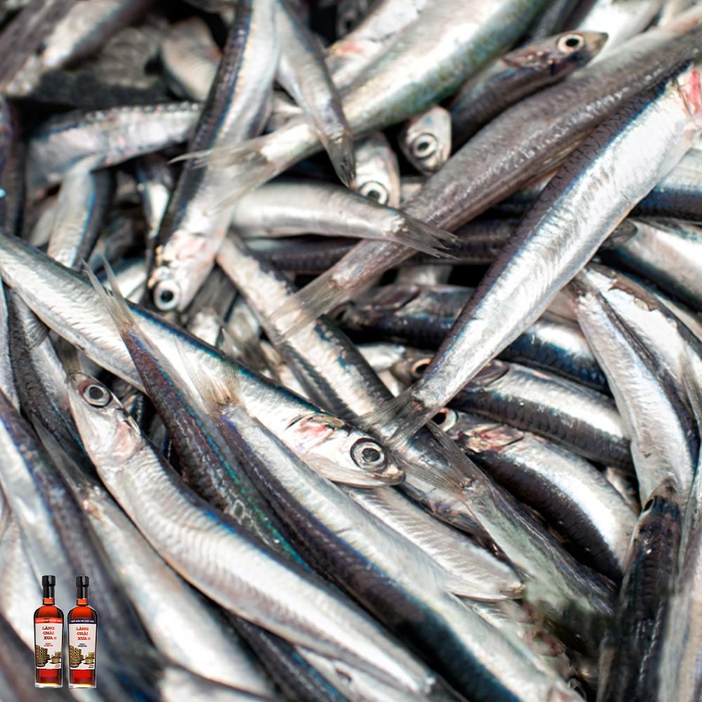 Đặc Sản Phan Thiết - NướC MắM Nhỉ Làng Chài Xưa Truyền Thống Nhãn Đỏ Thùng 6 Chai Thủy Tinh 500Ml Cốt Nhỉ Đặc Biệt Vị Đậm Đà Gu Ông Bà Xưa Nước Mắm Nguyên Chất Sạch Nước Mắm Nhĩ Từ Thùng Lều Gỗ 100% Cá Cơm Tươi Muối Tinh Khiết Không Chất Bảo Quản