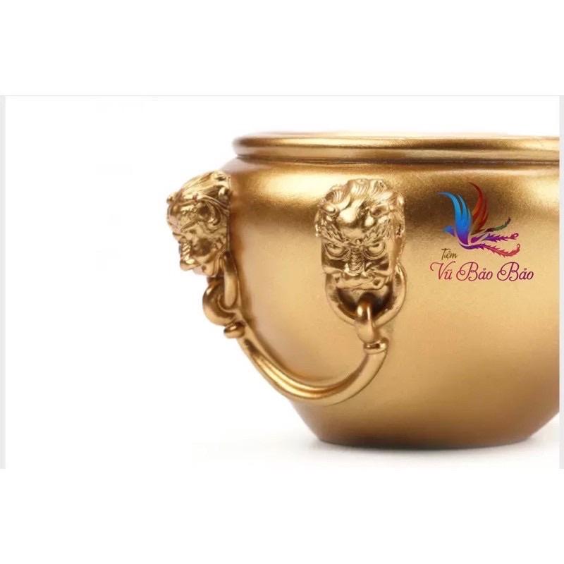 Chum chậu cây trong nhà chậu nhỏ văn phòng để bàn trang trí