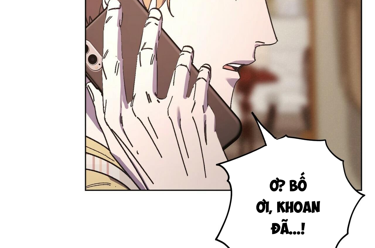 chàng dâu nhà họ kang chapter 28 164