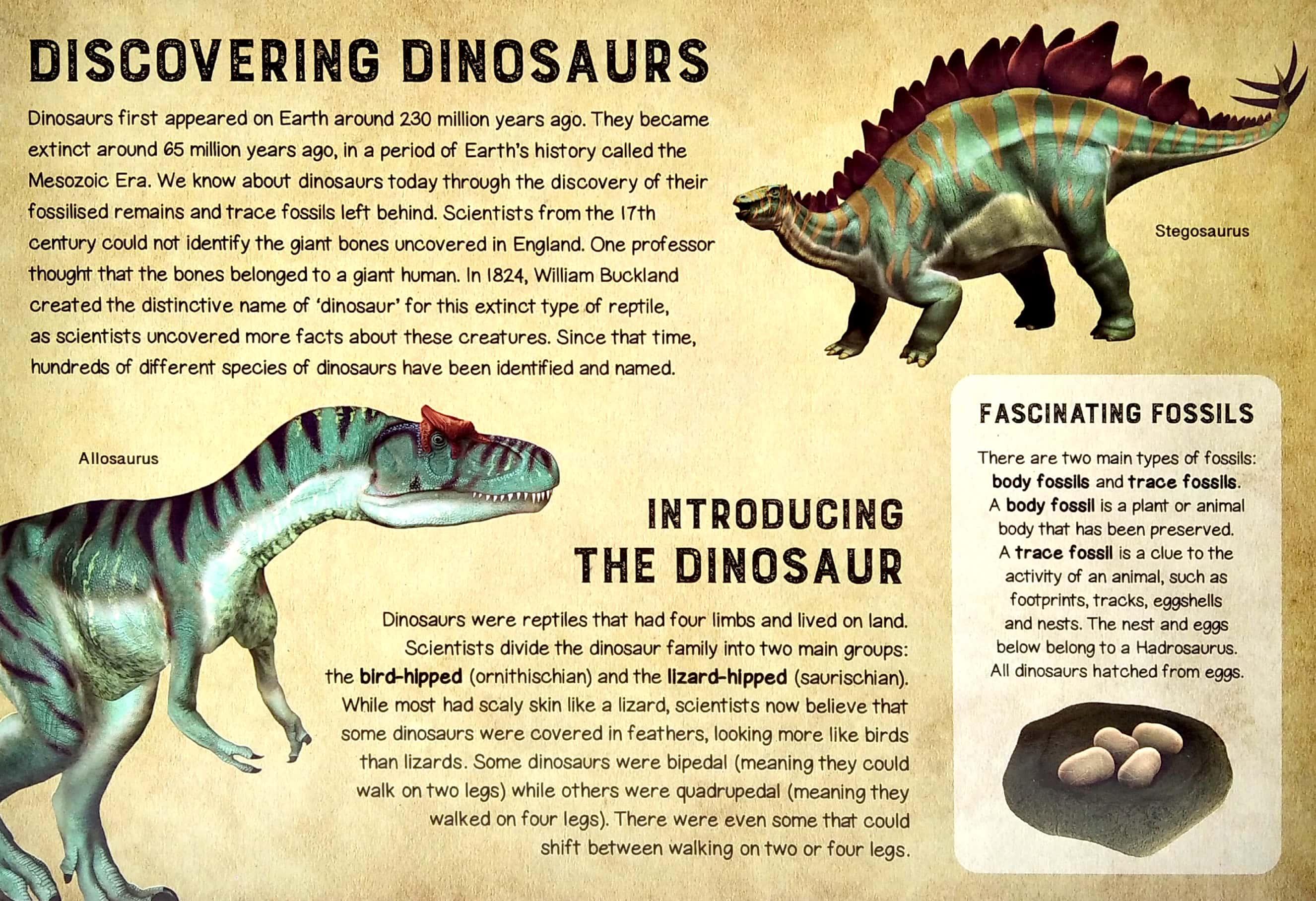 Jigsaw Book: The Life Of Dinosaurs