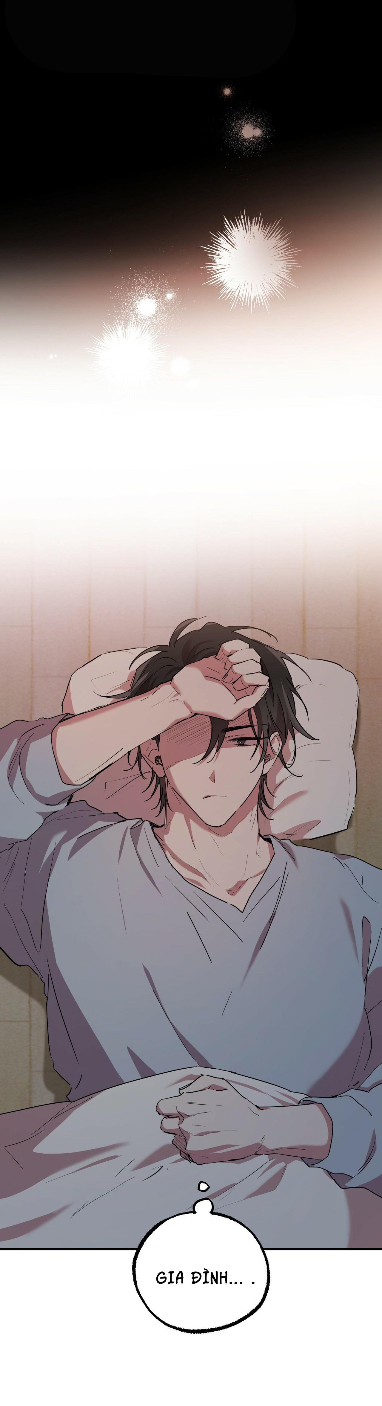 những chú thỏ của hapypy chapter 16 35