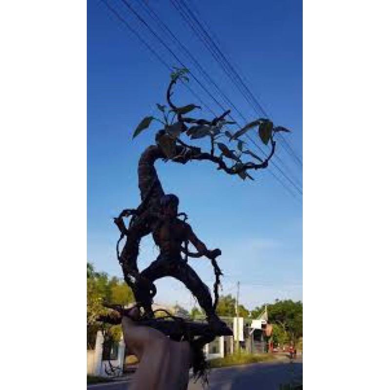 Tượng ghép bonsai Lý Tiểu Long thế cực chất