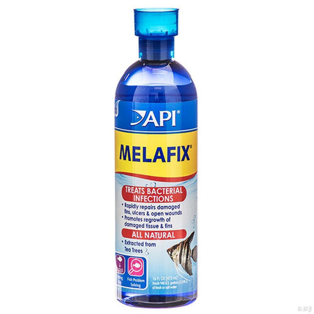 Dung dịch kháng khuẩn Melafix, Pimafix, Stresscoat dành cho Cá cảnh